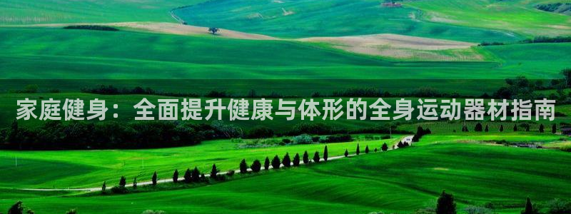 意昂3代理：家庭健身：全面提升健康与体形的全身运动器