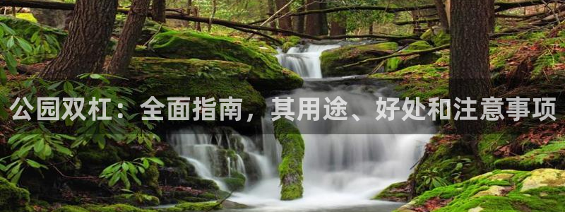 意昂体育3平台注册流程图：公园双杠：全面指南，其用途