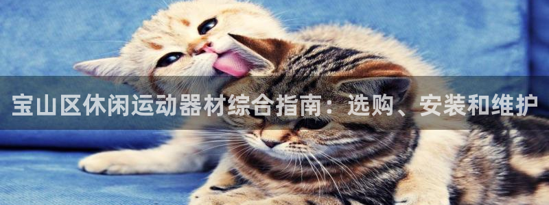 意昂体育3招商电话号码是多少号：宝山区休闲运动器材综