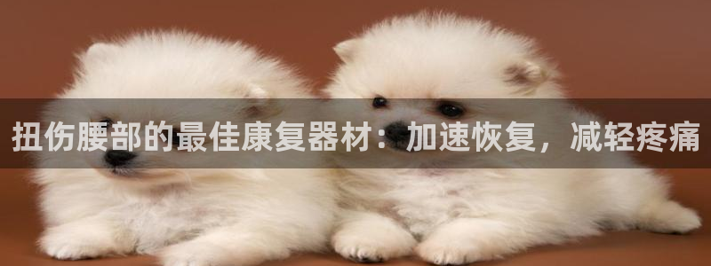 意昂体育3平台注册流程视频：扭伤腰部的最佳康复器材：