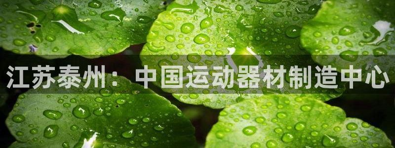 意昂体育3平台注册要钱吗：江苏泰州：中国运动器材制造
