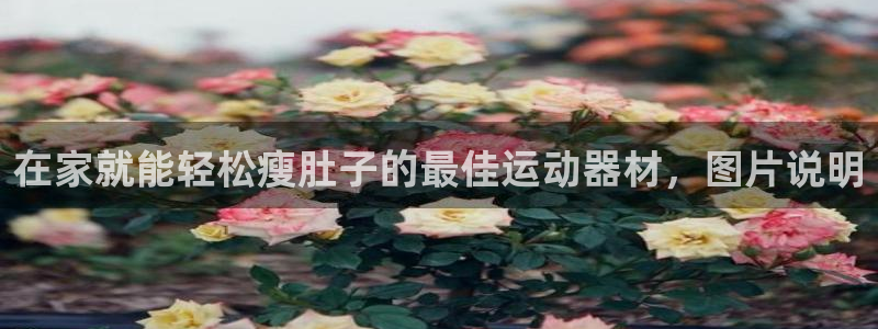 意昂体育3平台是正规平台吗知乎：在家就能轻松瘦肚子的