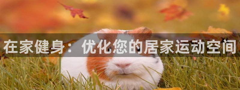 德国意昂3集团：在家健身：优化您的居家运动空间