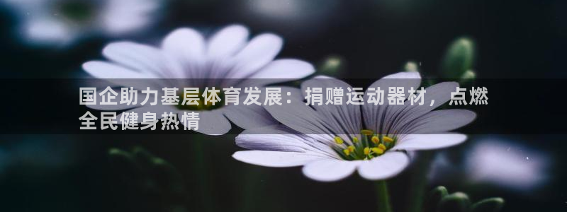 意昂体育3平台注册：国企助力基层体育发展：捐赠运动器