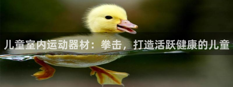 意昂体育3联系电话：儿童室内运动器材：拳击，打造活跃