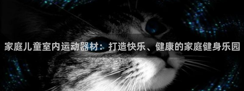 意昂平台体育：家庭儿童室内运动器材：打造快乐、健康的家庭健身