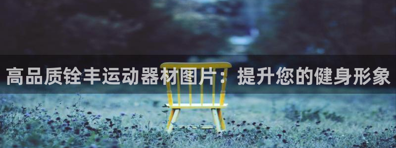 意昂体育3平台注册：高品质铨丰运动器材图片：提升您的