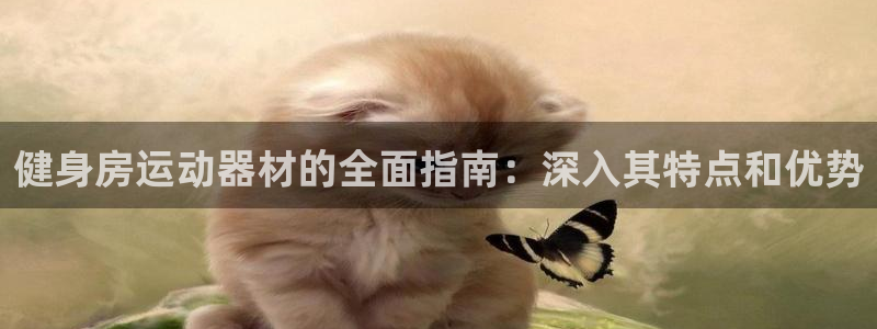 意昂3娱乐首页网站大全