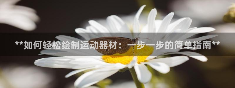 意昂3集团简介：**如何轻松绘制运动器材：一步一步的