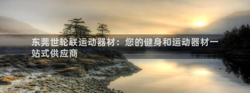 意昂3新能源：东莞世轮联运动器材：您的健身和运动器材