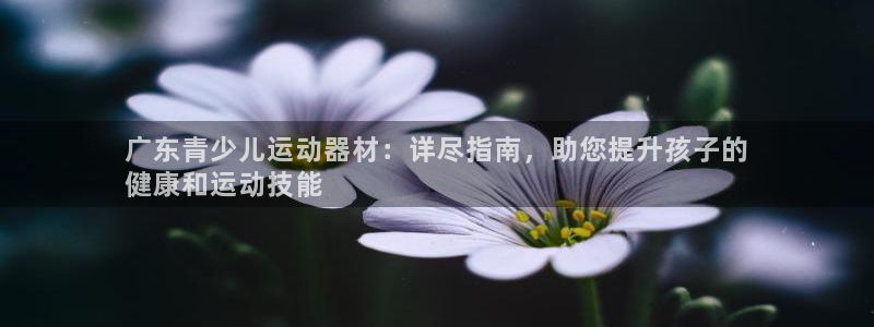 意昂体育3平台假的吗是真的吗吗：广东青少儿运动器材：