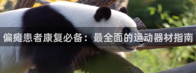 意昂体育3平台注册要钱吗：偏瘫患者康复必备：最全面的