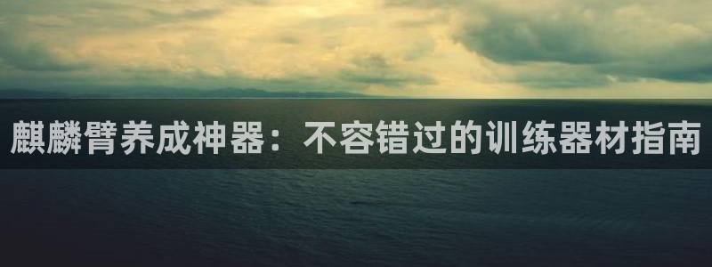海南意昂体育3：麒麟臂养成神器：不容错过的训练器材指
