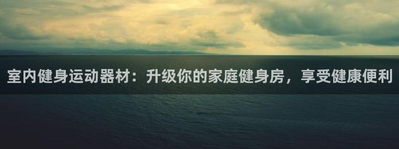 意昂3集团简介：室内健身运动器材：升级你的家庭健身房