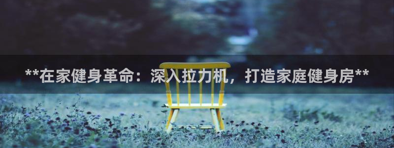 意昂3集团：**在家健身革命：深入拉力机，打造家庭健身房**