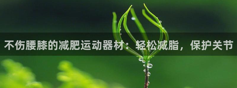 意昂3娱乐首页网站大全：不伤腰膝的减肥运动器材：轻松