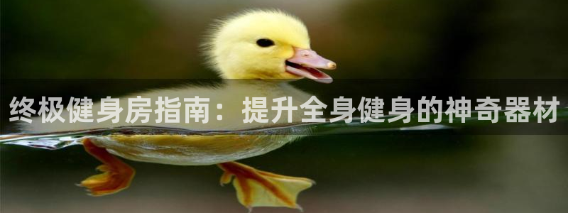 意昂3娱乐下载：终极健身房指南：提升全身健身的神奇器