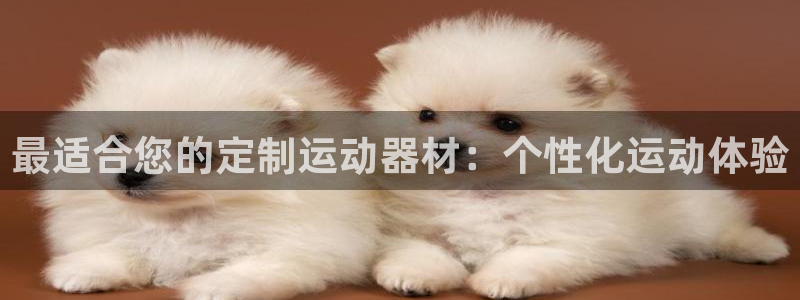 意昂体育3平台注册要钱吗安全吗：最适合您的定制运动器