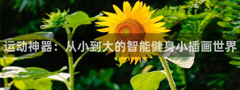 德国意昂3集团