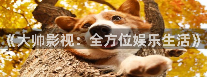 汤姆影院成人：《大帅影视：全方位娱乐生活》