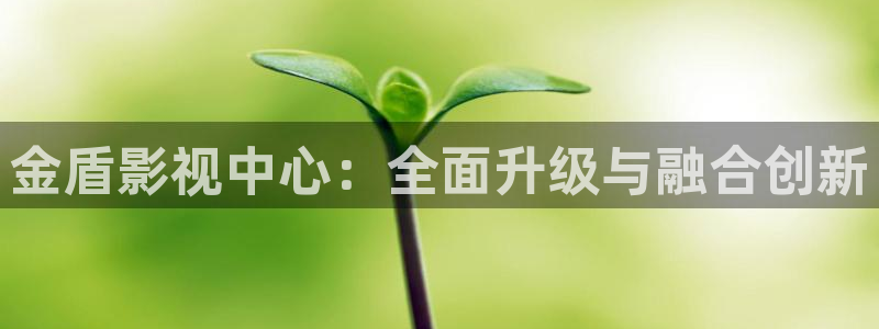 汤姆 影院：金盾影视中心：全面升级与融合创新
