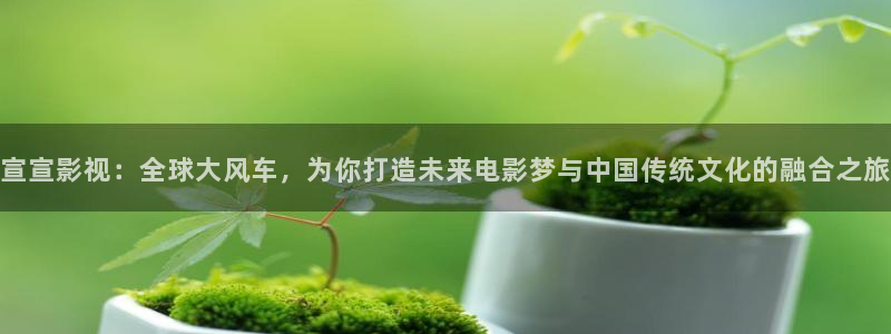 汤姆网址：宣宣影视：全球大风车，为你打造未来电影梦与中国传统文化的融合之旅