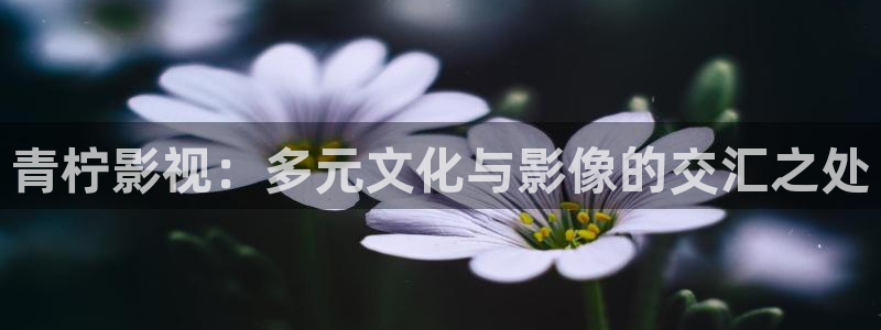 浏览器汤姆影院：青柠影视：多元文化与影像的交汇之处