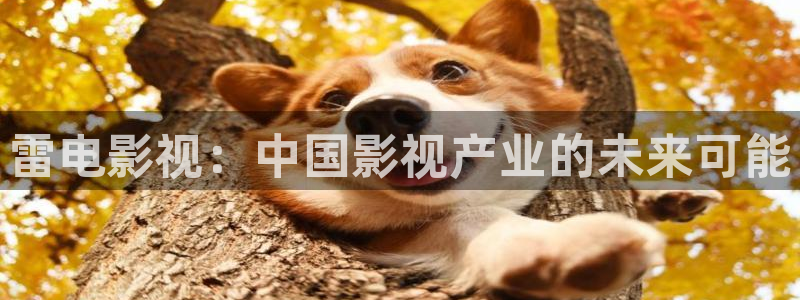 汤姆视频在线：雷电影视：中国影视产业的未来可能